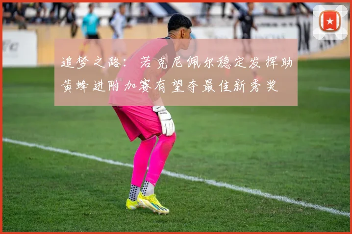 追梦之路：若克尼佩尔稳定发挥助黄蜂进附加赛有望夺最佳新秀奖