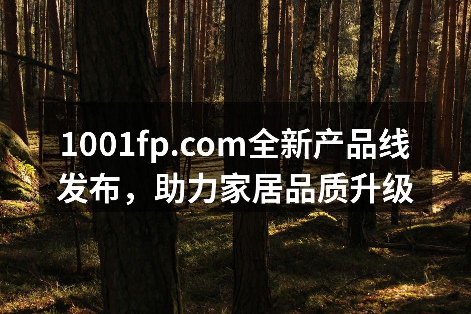 全新的家居产品线展示